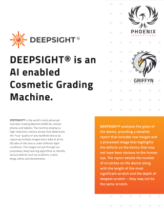 Deepsight White Paper